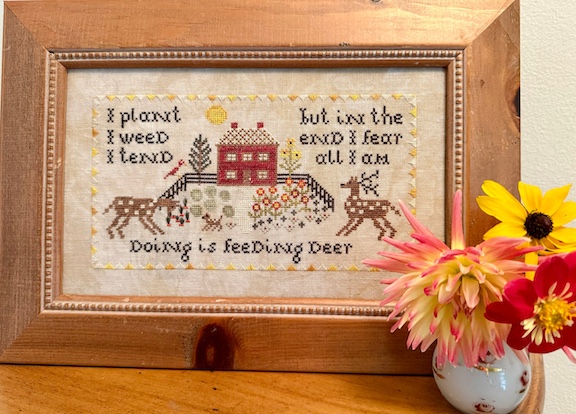 Deer in my Garden  Deer in my Garden