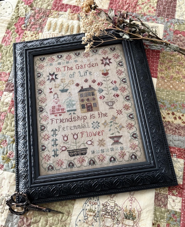 Perennial Flower Sampler Perennial Flower Sampler