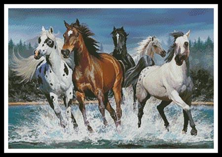 Wild Horses - Click Image to Close